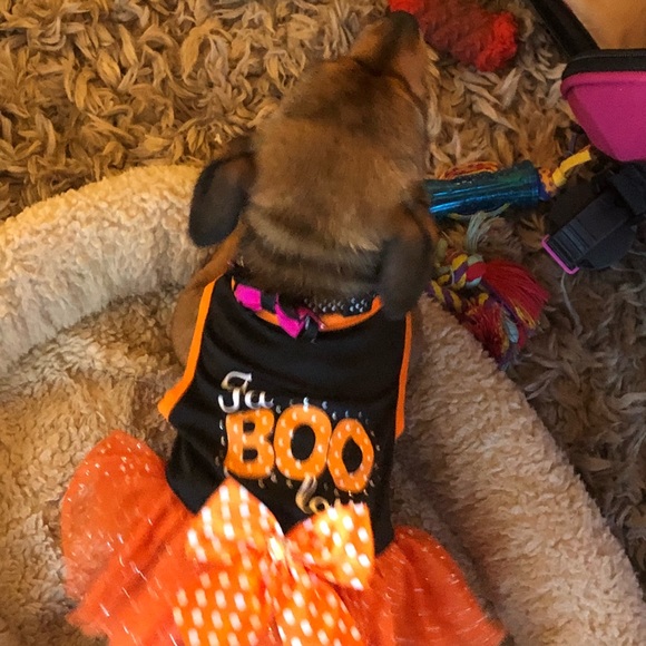 DJ - Picture 12 of 16